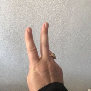 Meet your Posher, Janee